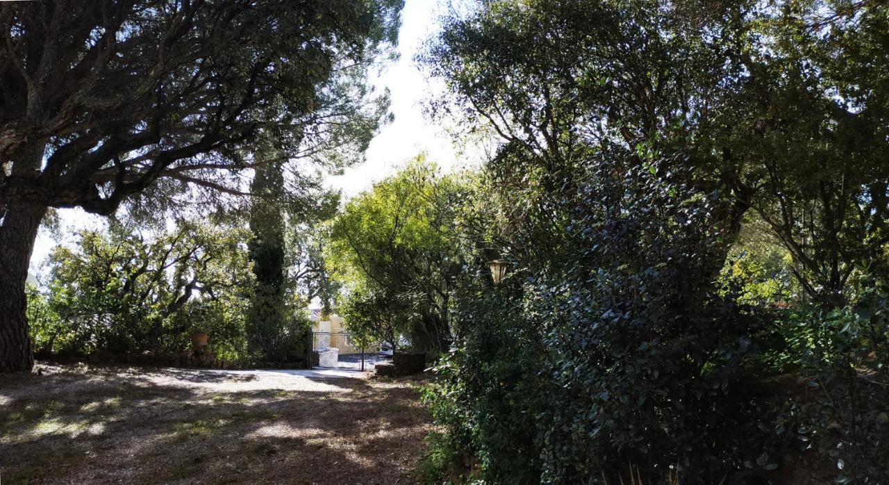 Villa Les Trois Chênes, piscine privée&vue mer Les Issambres Exterior foto