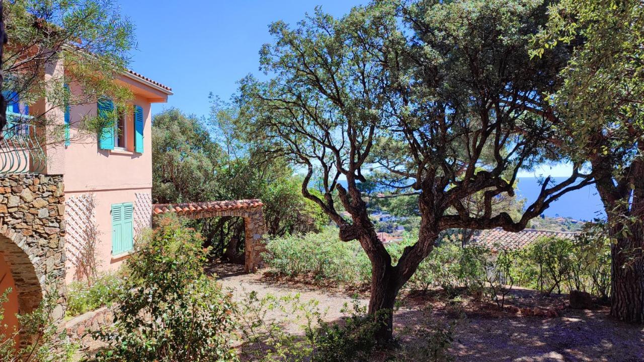 Villa Les Trois Chênes, piscine privée&vue mer Les Issambres Exterior foto